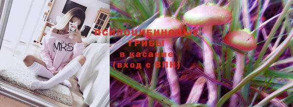 бошки Ростов
